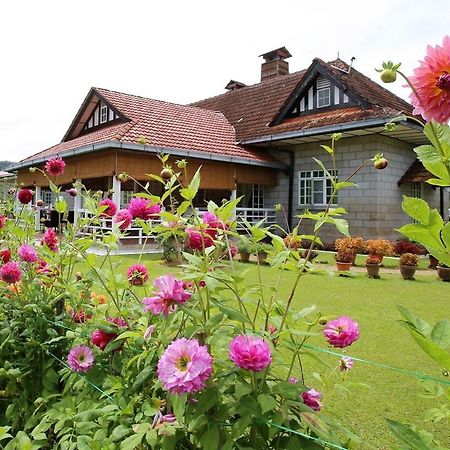 Bukit Lowick Bungalow 丹那拉打 外观 照片