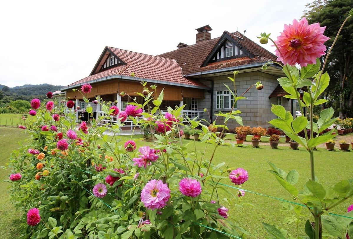 Bukit Lowick Bungalow 丹那拉打 外观 照片
