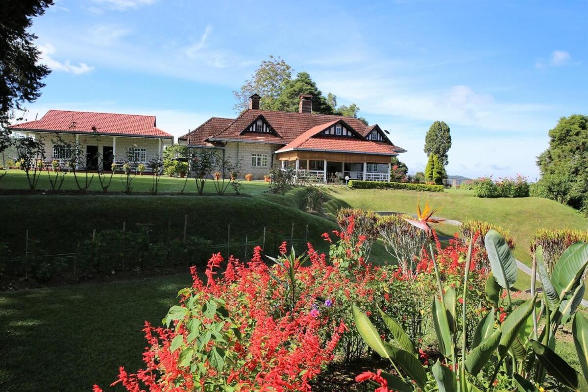 Bukit Lowick Bungalow 丹那拉打 外观 照片